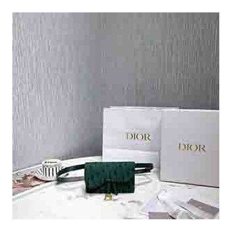 DIOR 디올