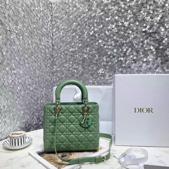 DIOR 디올