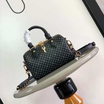 LOUIS VUITTON 루이비통 스피디 반둘리에 20 M22595